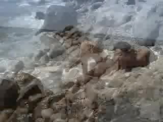 Krūtainas brunete pozējošas kails par a pludmale